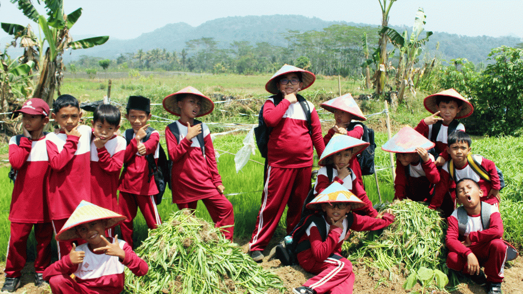 Farming Kangkung