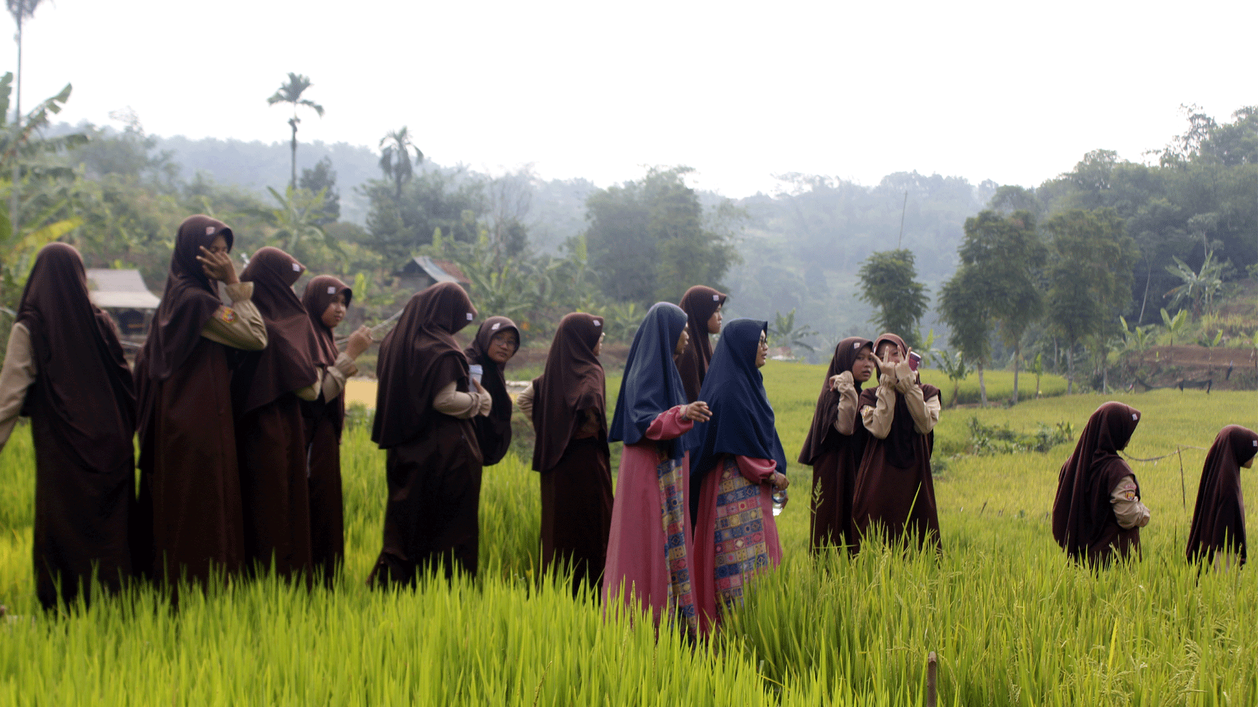 Observasi Potensi Pertanian Kampung Babakan Desa Cigudeg Kec Cigudeg Kab Bogor