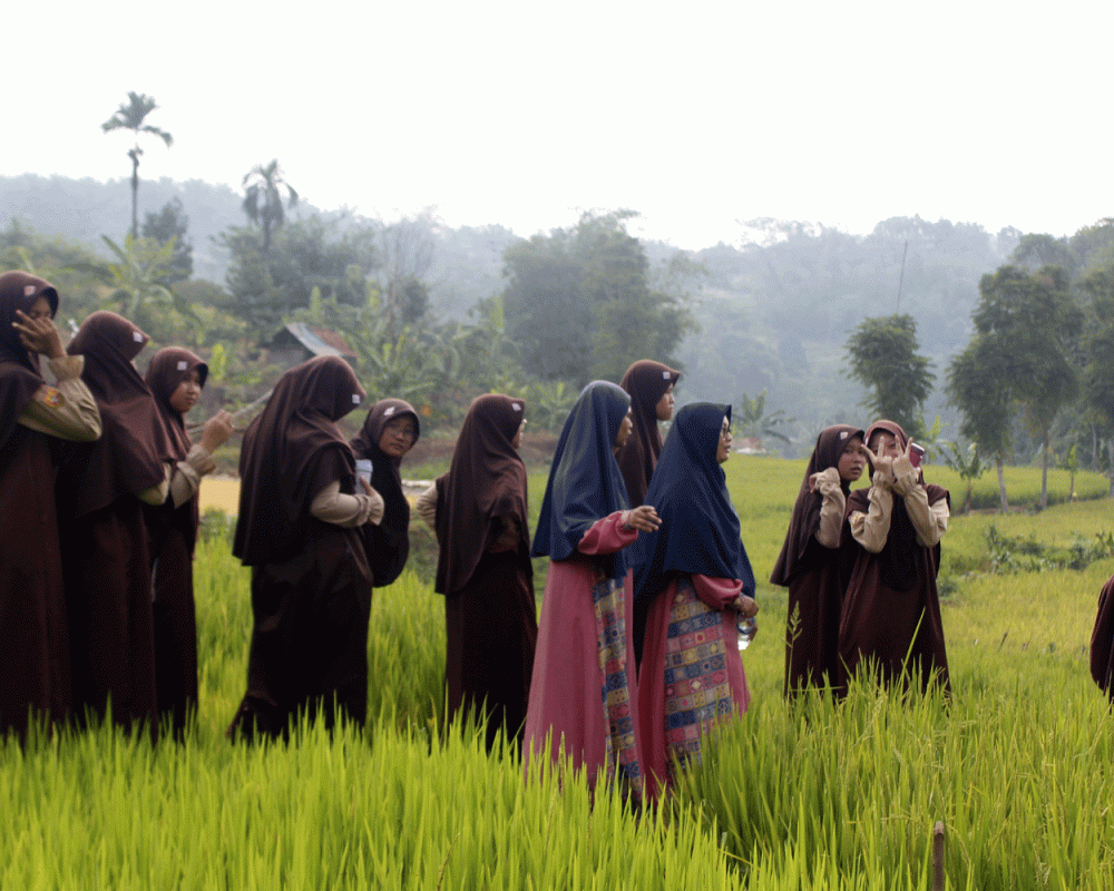 Observasi Potensi Pertanian Kampung Babakan Desa Cigudeg Kec Cigudeg Kab Bogor